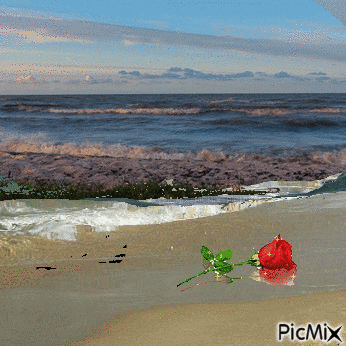 mary rosa - Безплатен анимиран GIF