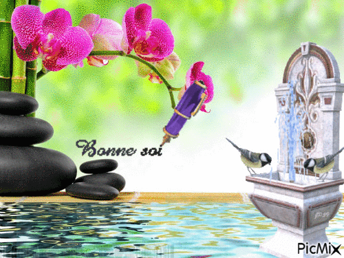 bonne soirée zen - Бесплатный анимированный гифка