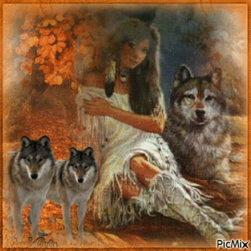 Concours : Meute de loups en automne - Ilmainen animoitu GIF