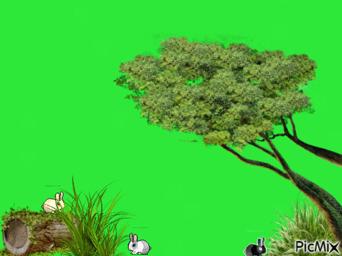 lapin - Kostenlose animierte GIFs