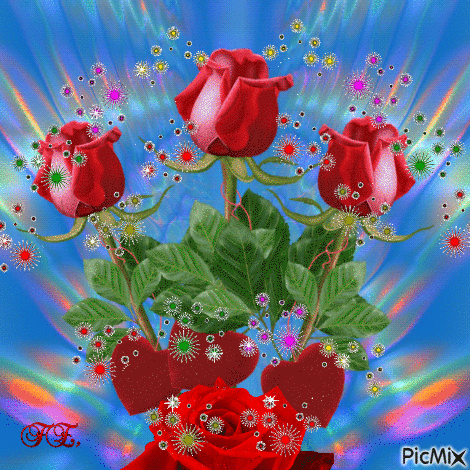 Vöröss rózsa színes háttérben! - Free animated GIF