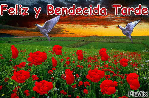 Feliz y Bendecida Tarde - Δωρεάν κινούμενο GIF