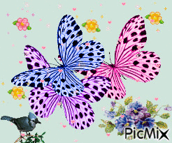 Trio de papillons - GIF animado gratis