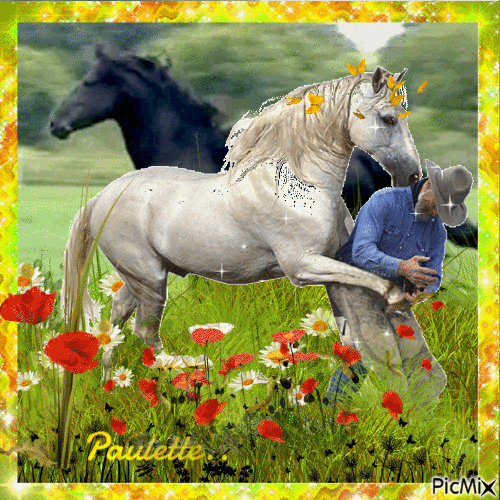 l'homme et son cheval - Ingyenes animált GIF