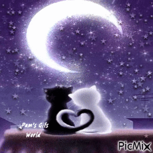 Kitty Love - Animovaný GIF zadarmo