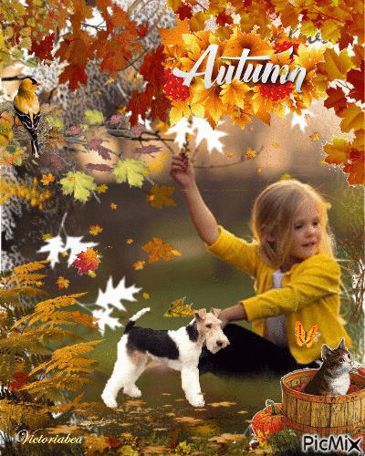 Autumn - GIF animate gratis