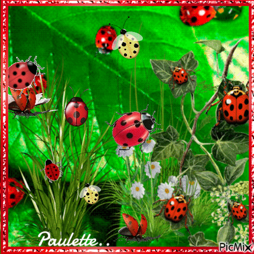 les coccinelles - Free animated GIF