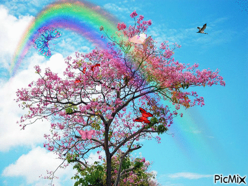 arco iris - GIF animado grátis