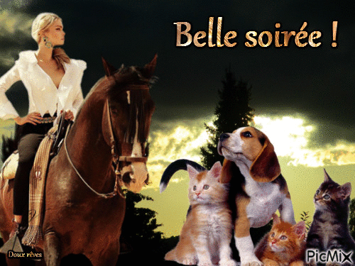 Belle soirée - GIF เคลื่อนไหวฟรี