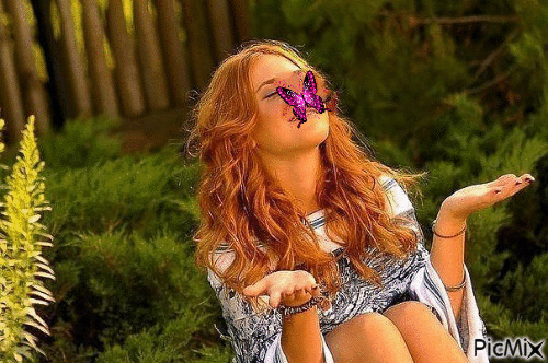 бабочка - GIF animado grátis