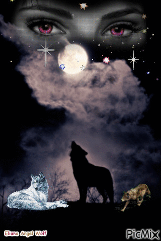 Lobo - 無料のアニメーション GIF