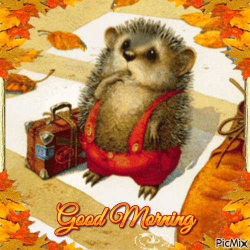 Good Morning Little Hedgehog in the Autumn Rain - GIF animasi gratis