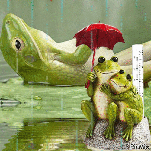 béka esőben - GIF animasi gratis