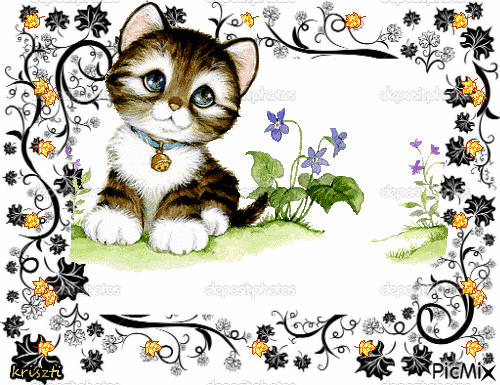 Sweet kitty - Zdarma animovaný GIF