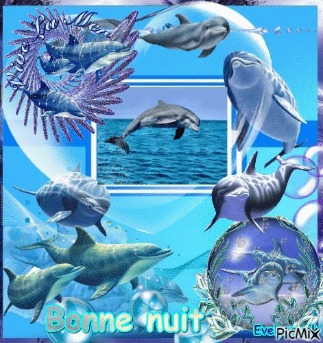 blue dolphin - GIF animasi gratis