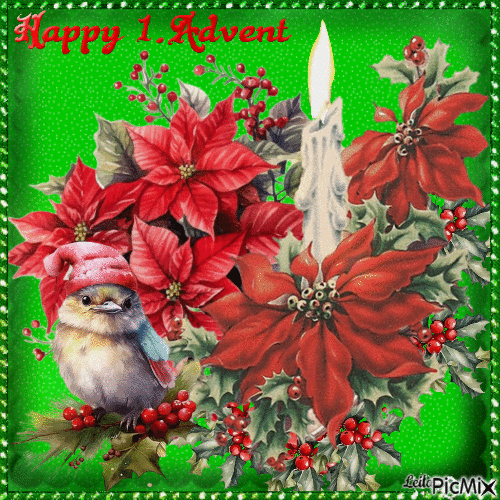 Happy 2. Advent. one candel, bird, flowers - Free animated GIF
