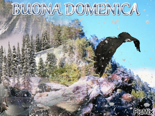BUONA DOMENICA - Безплатен анимиран GIF