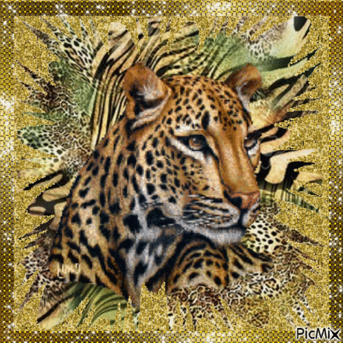 leopard - Bezmaksas animēts GIF