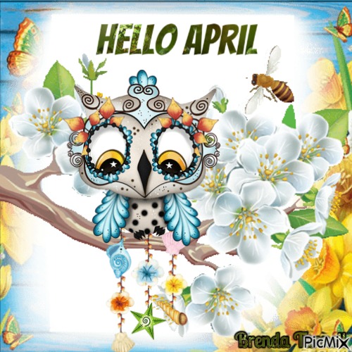 April owl - nemokama png