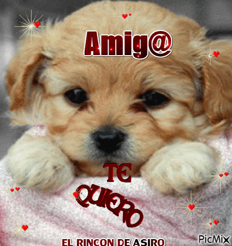 AMIGOS - Безплатен анимиран GIF