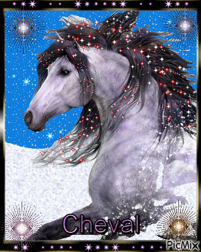 jolie cheval féerique - Free animated GIF