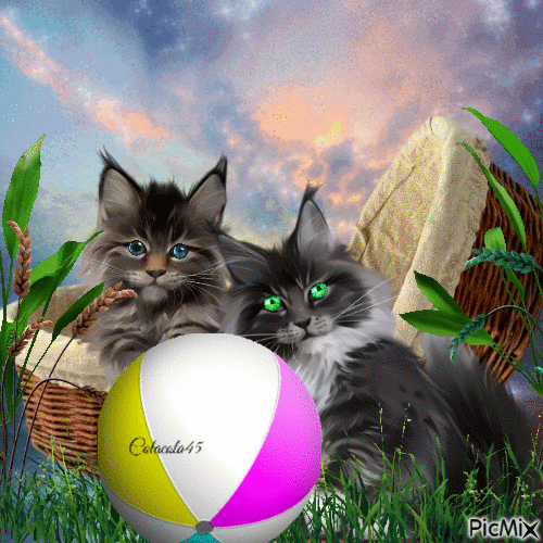 kočky a balon - Ingyenes animált GIF