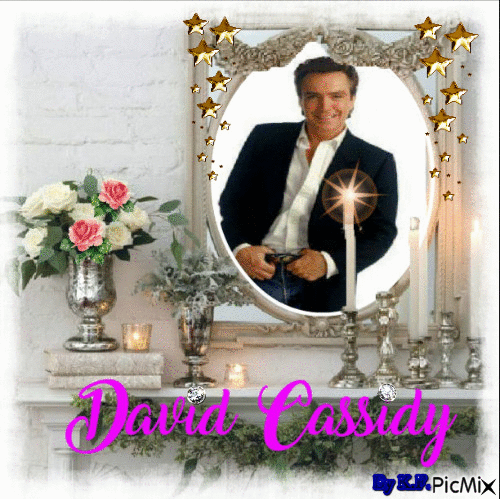 David Cassidy - Gratis geanimeerde GIF