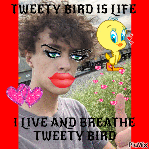 tweety bird is life - Free animated GIF