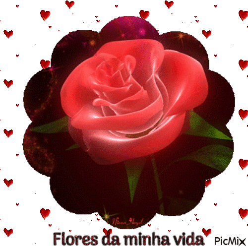 Flores da minha vida - Бесплатный анимированный гифка