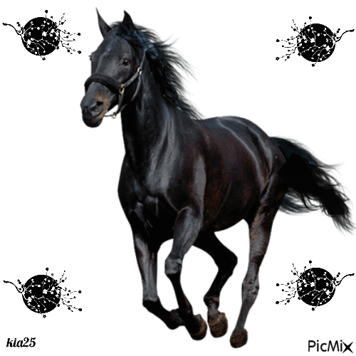 cheval noir - GIF animé gratuit