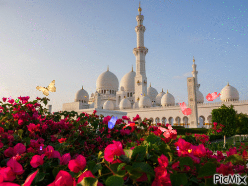 розы и мечеть - GIF เคลื่อนไหวฟรี