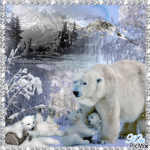 Ours polaires en famille ( - Nemokamas animacinis gif