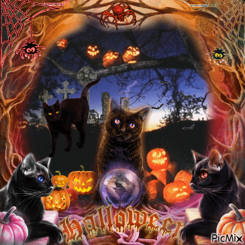 Halloween cats - Nemokamas animacinis gif