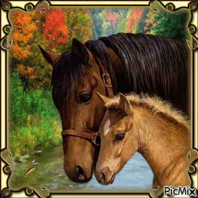 mare & foal - Δωρεάν κινούμενο GIF