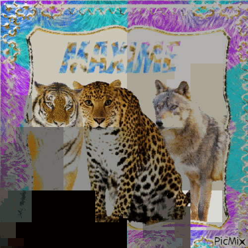 Trio de felin - GIF animado grátis