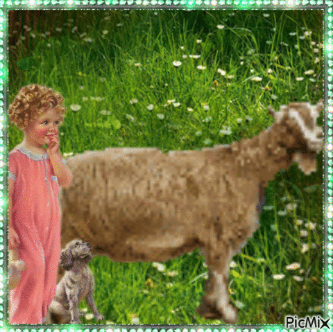 La Petite Fille et la chèvre - Gratis geanimeerde GIF