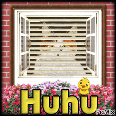 Huhu - GIF animé gratuit