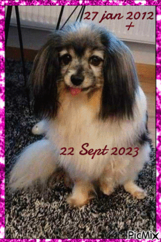 Vilma 11 år född 27 Jan 2012 + 22 September 2023 15.45 - GIF animasi gratis