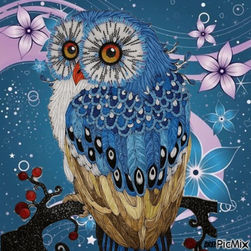 owl - bezmaksas png