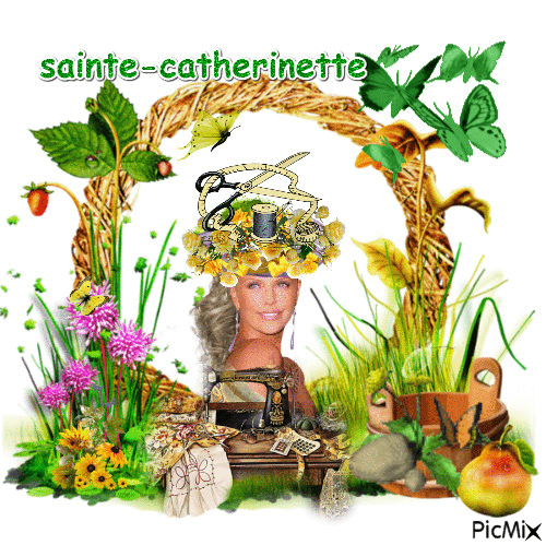 sainte catherinette - Δωρεάν κινούμενο GIF