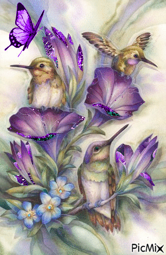 purple butterfly - Безплатен анимиран GIF