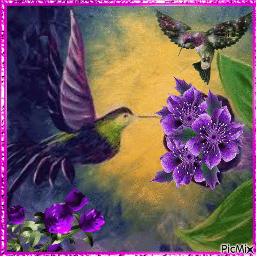 Fleurs et colibris - Ingyenes animált GIF