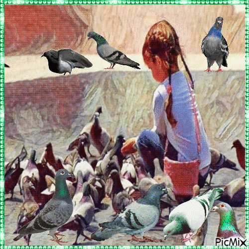 Little girl with pigeons - Бесплатный анимированный гифка