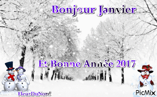 Bonjour Janvier - Animovaný GIF zadarmo