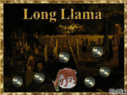 Long Llama - Gratis geanimeerde GIF