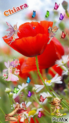 fatine e farfalle - GIF animado grátis
