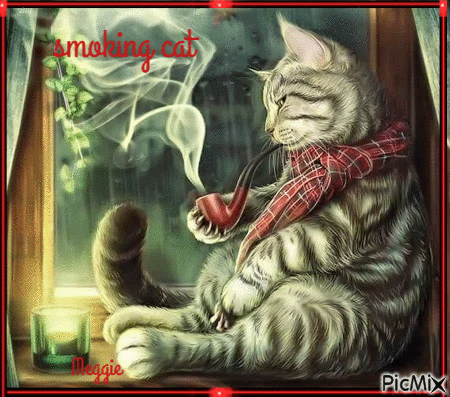 smoking cat - Ingyenes animált GIF