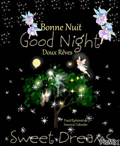 Bonne Nuit Good Night - Nemokamas animacinis gif