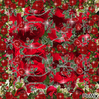 RED ROSES OF ALL SIZES, WITH GREENERY AND LOTS OF FLASHES. - Безплатен анимиран GIF