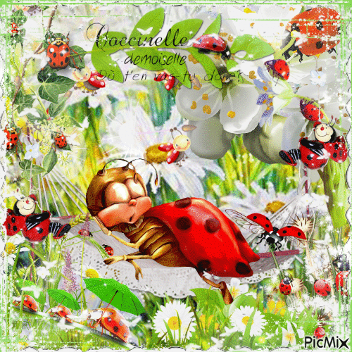 LadyBug - Coccinelle - Nemokamas animacinis gif